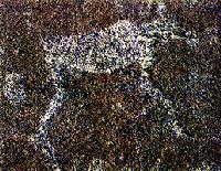 Петроглифы